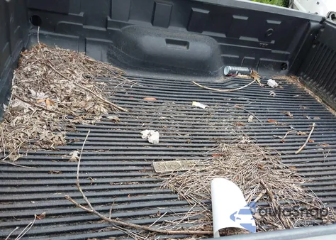 2005 Ford F250 Super Duty z USA, uszkodzony, nr VIN 1FTSX21PX5ED24854